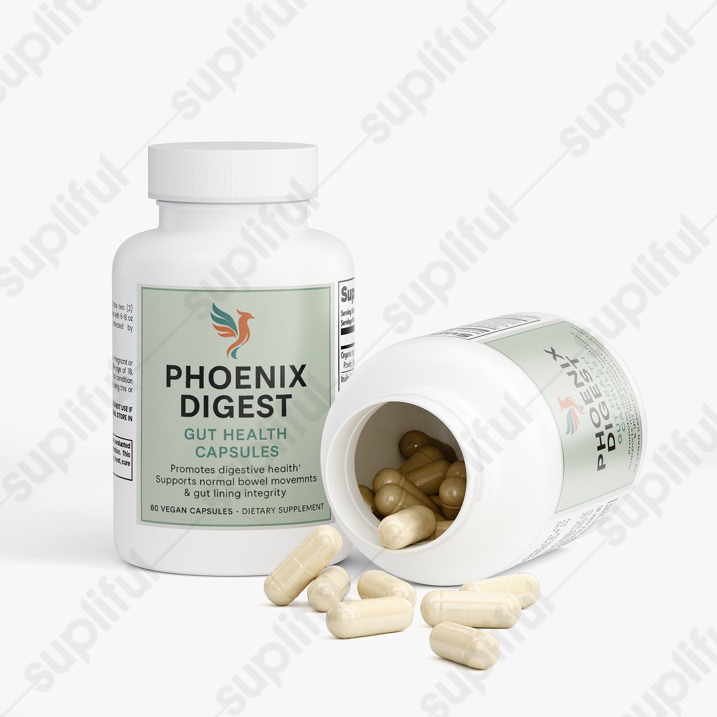 Gut Health